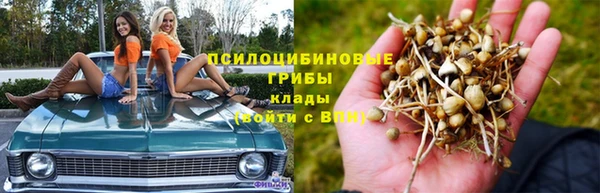 спайс Абинск