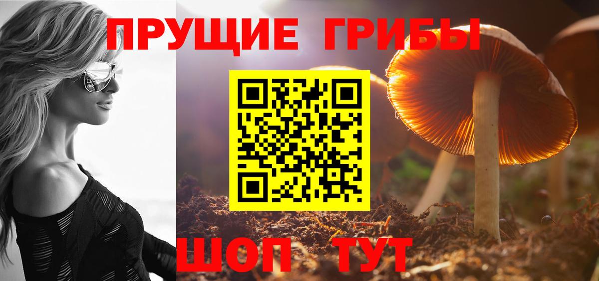 Новотроицк  Галлюциногенные грибы прущие грибы  Галлюциногенные грибы мицелий  Вход с VPN 