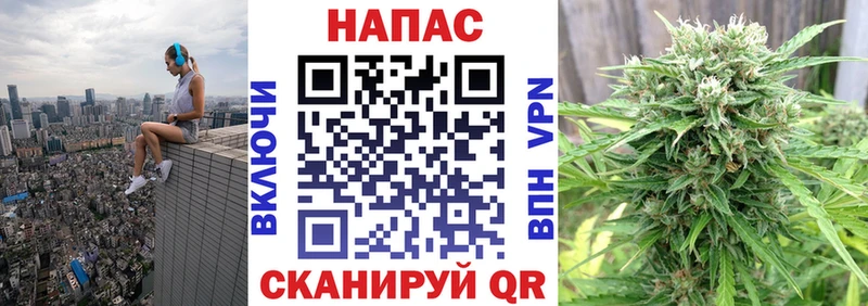 Бошки марихуана SATIVA & INDICA  Новотроицк 